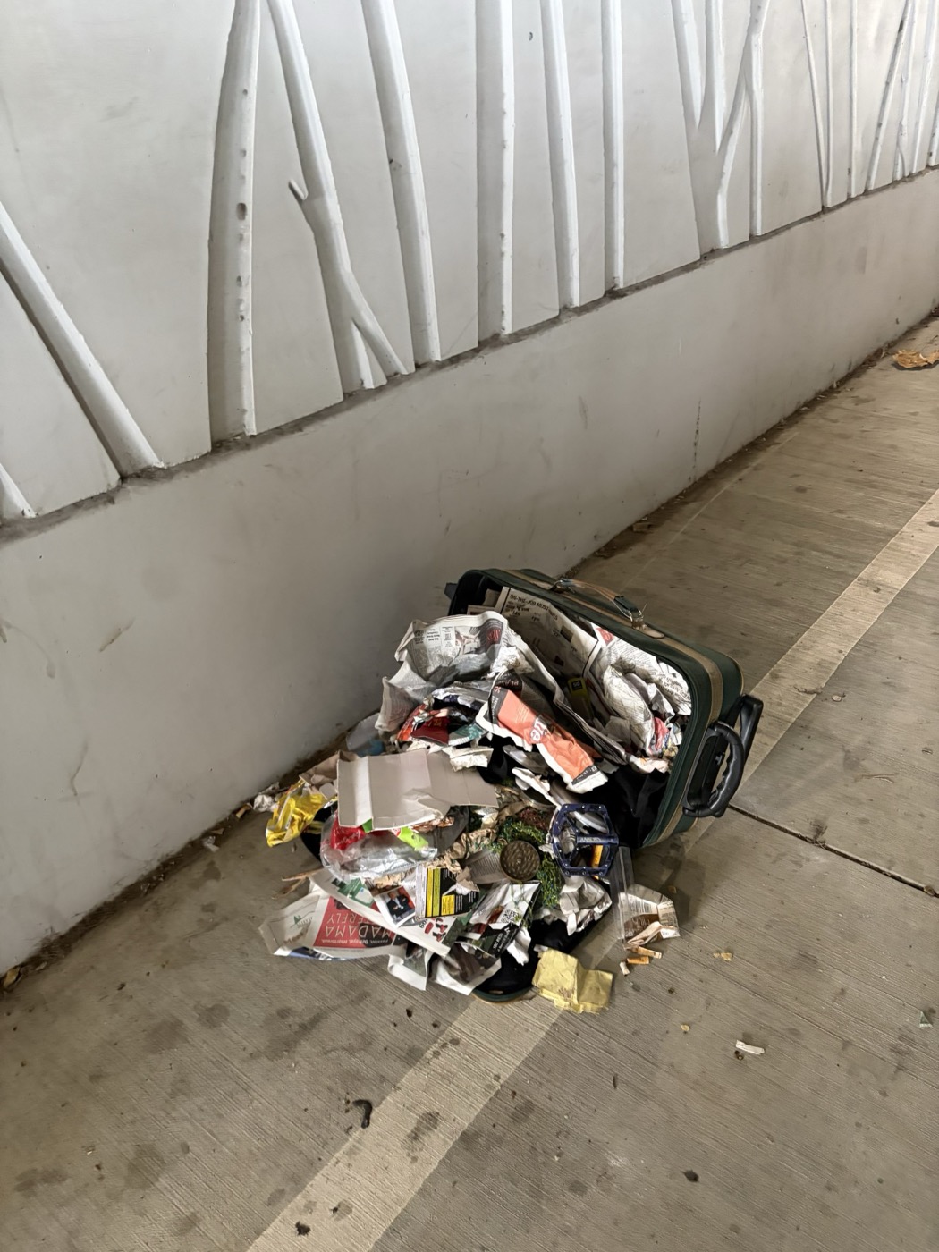 Young volunteers on the cleanup