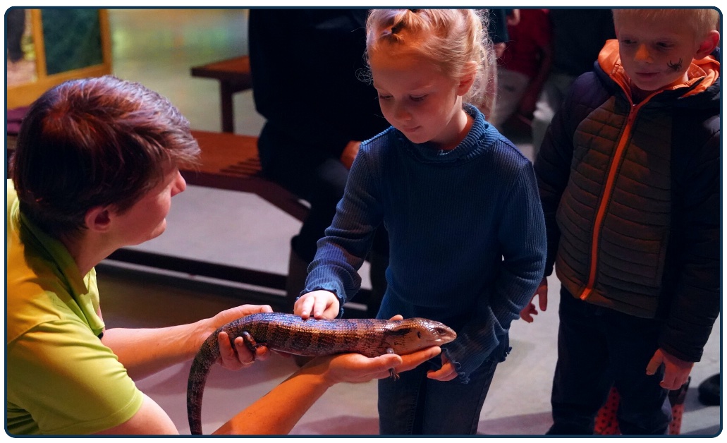 Interact with rainforest species in “Under the Canopy”