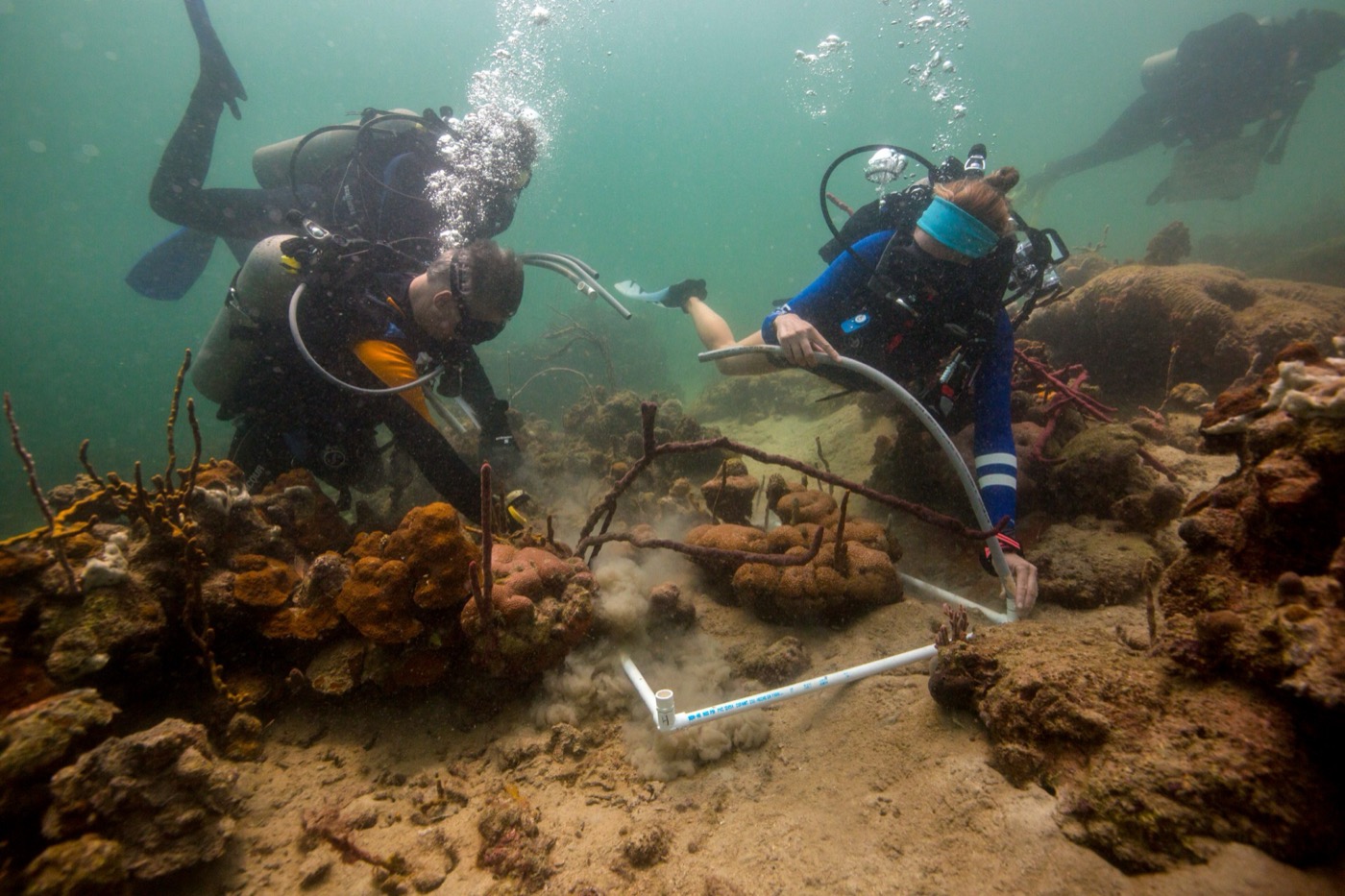 Ocean acidification and reefs