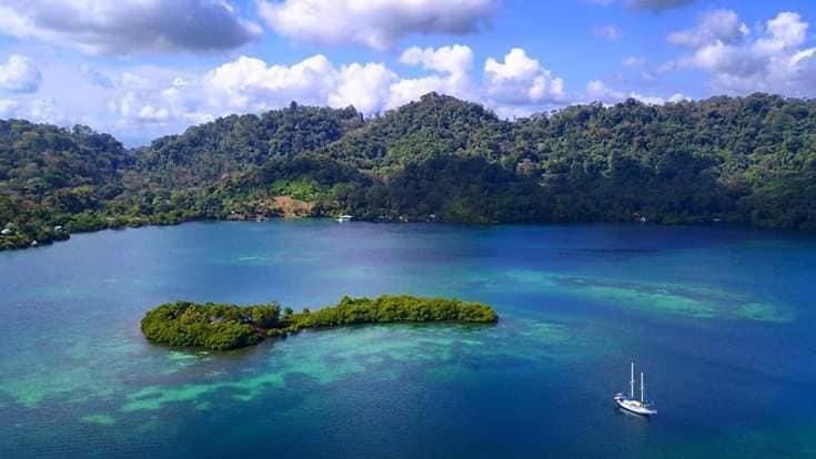 Rainforest and Caribbean water in Bocas del Toro, Panama