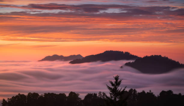 Sunset over fog-covered coastal hills
